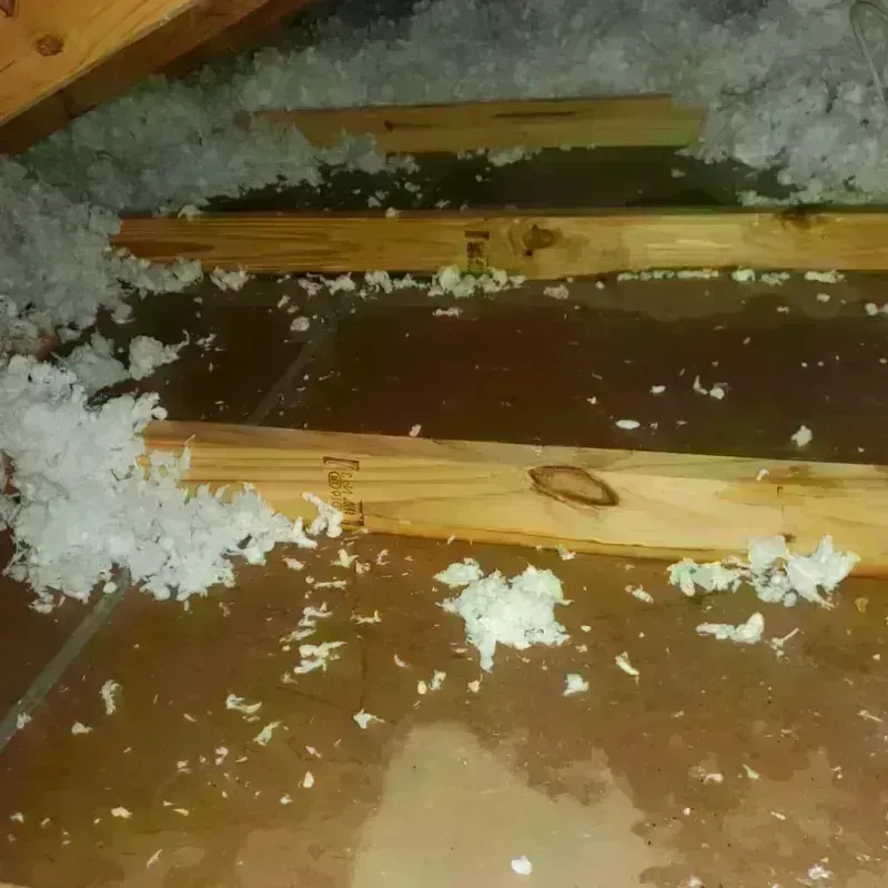 Attic Water Damage in Gorman, TX