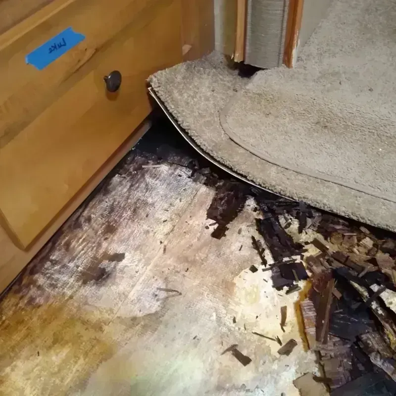 Wood Floor Water Damage in Gorman, TX